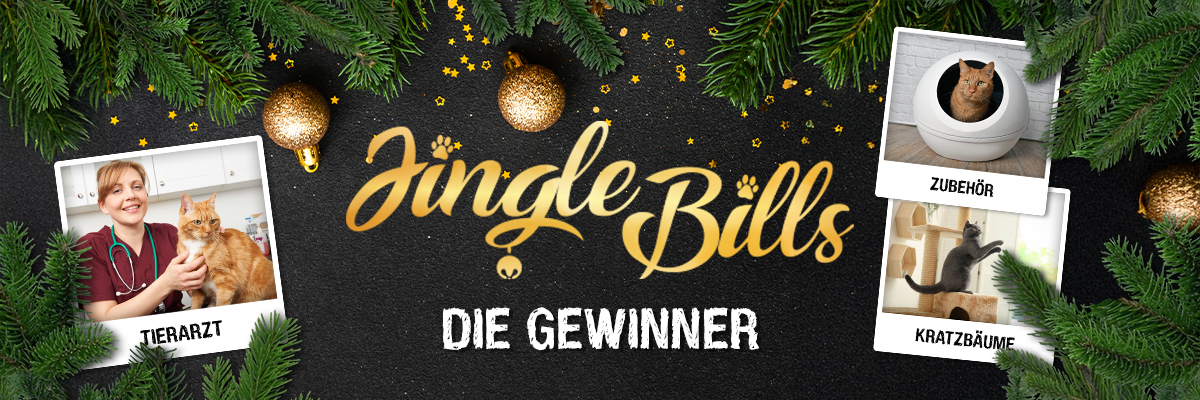 p101986-bl-jinglebills-header-gewinner