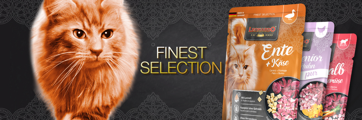 bl-kategorie-finest-selection-desktop-header