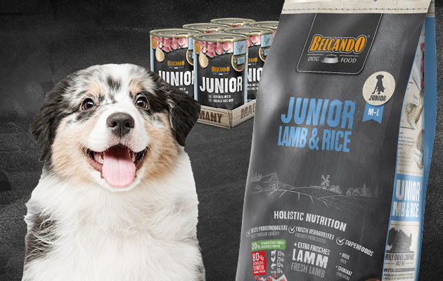 Belcando Trockenfutter für Junghund und der Dose Junior Nassfutter Belcando Trockenfutter für Junghund und der Dose Junior Nassfutter