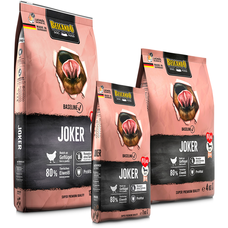 bb-baseline-trockenfutter-joker-composing-li-800px