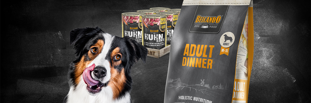 Belcando Trockenfutter für Erwachsenenhund und der Nassfutterdose Huhn & Ente Belcando Trockenfutter für Erwachsenenhund und der Nassfutterdose Huhn & Ente