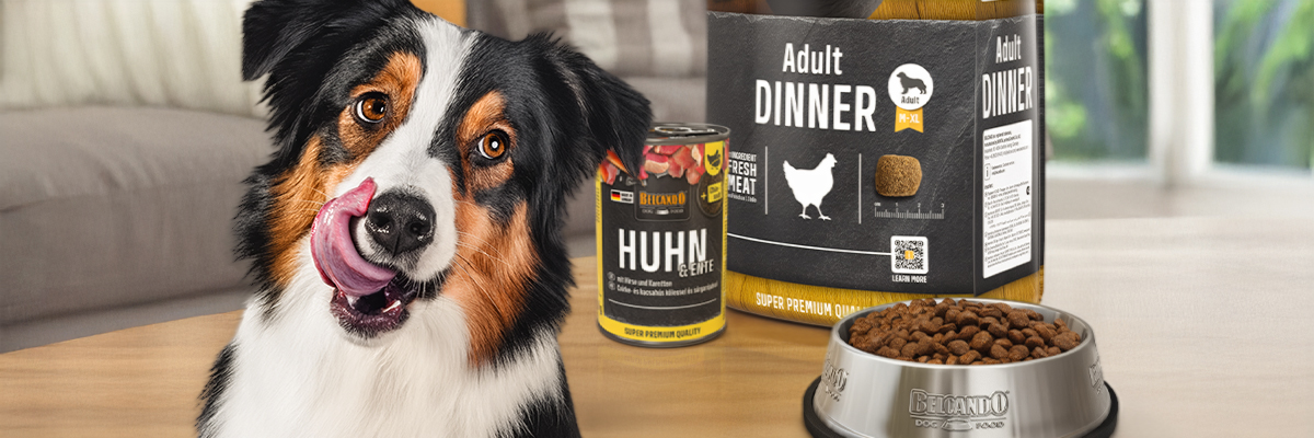 Belcando Trockenfutter für Erwachsenenhund und der Nassfutterdose Huhn & Ente