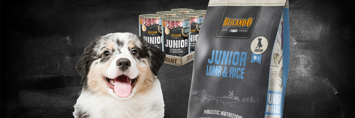 Belcando Trockenfutter für Junghund und der Dose Junior Nassfutter Belcando Trockenfutter für Junghund und der Dose Junior Nassfutter
