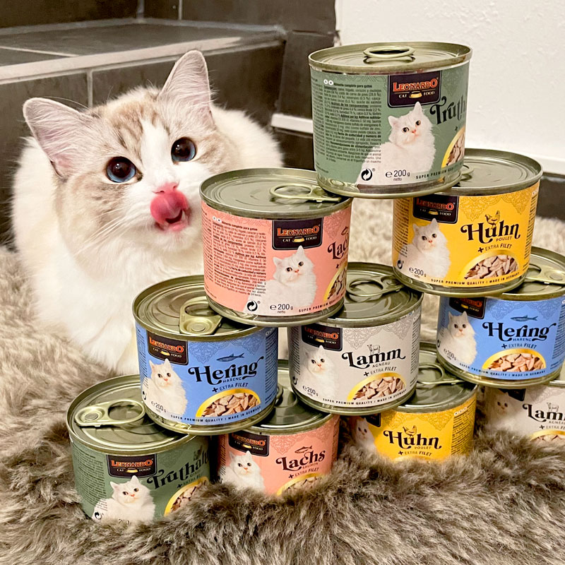 m100712-bl-landingpage-filetdosen-fans