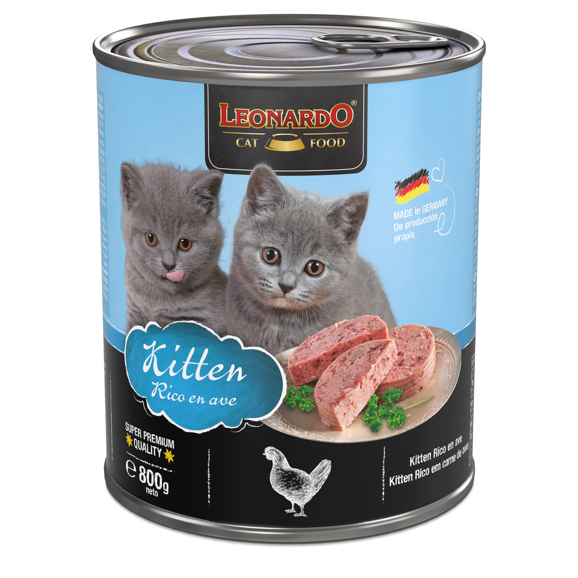 LEONARDO Kitten Rico en ave LEONARDO Kitten Rico en ave