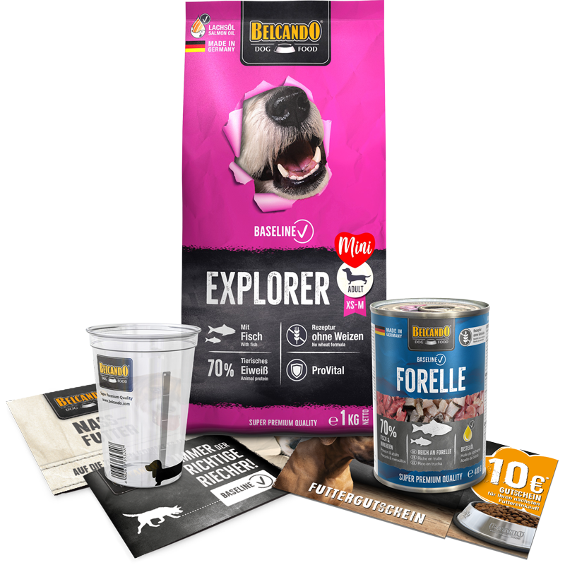 DOG BOX BELCANDO® Baseline Explorer