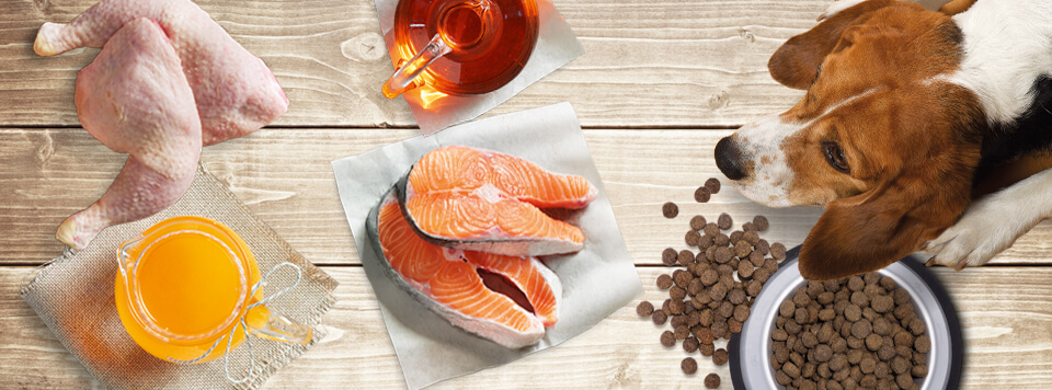 warum-sind-fette-fuer-hunde-wichtig warum-sind-fette-fuer-hunde-wichtig