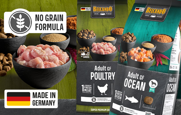 Image Recipes without grain