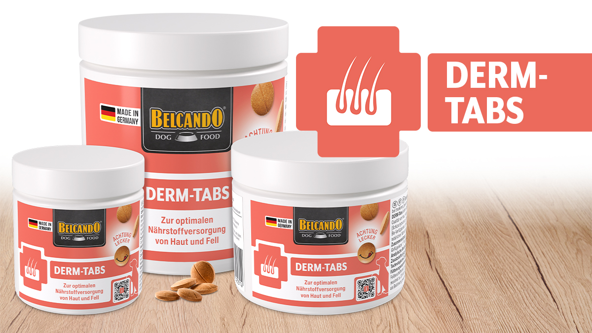 Produktbild der Derm-Tabs mit allen Verpackungsgrößen