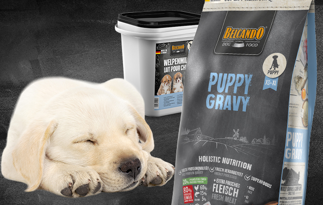 BELCANDO Puppy