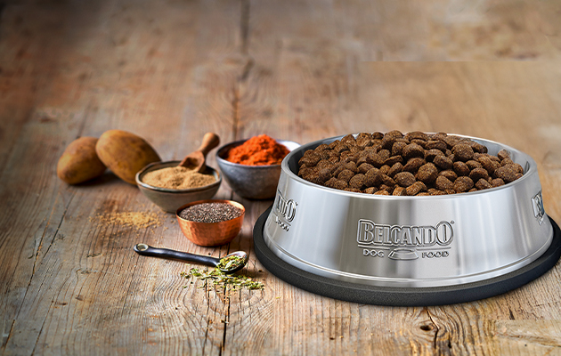 BELCANDO Dry food Bowl BELCANDO Bowl with ingredients and dry food