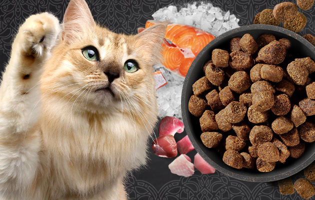 bl-kategorie-trockenfutter-mobile-header