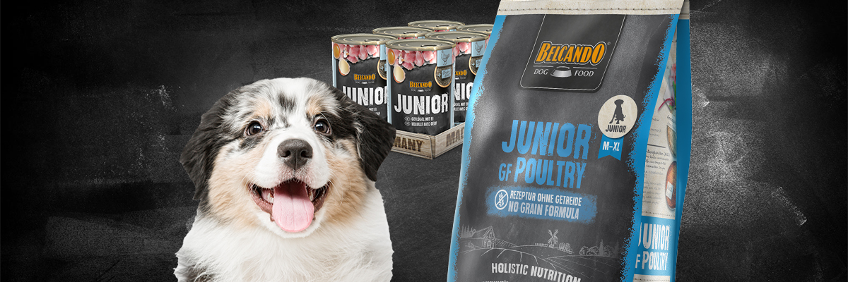 BELCANDO Junior