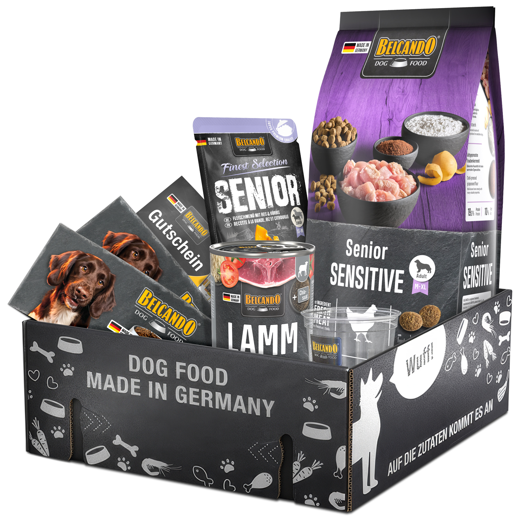 Dog Box BELCANDO Senior Sensitive