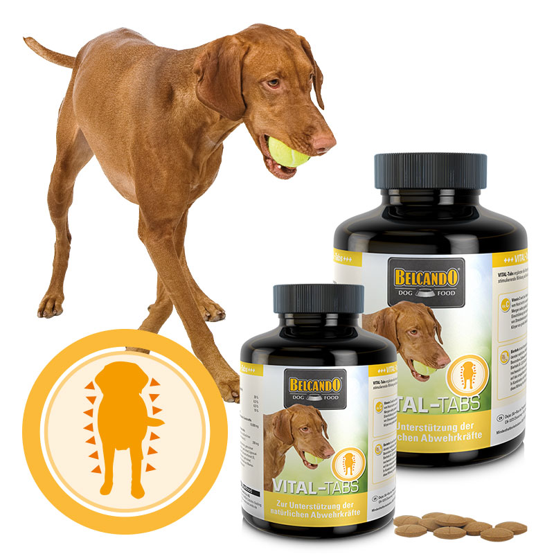 lp-tabs-vital-composing