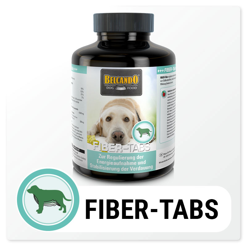 bb-fiber-tabs-button-800px