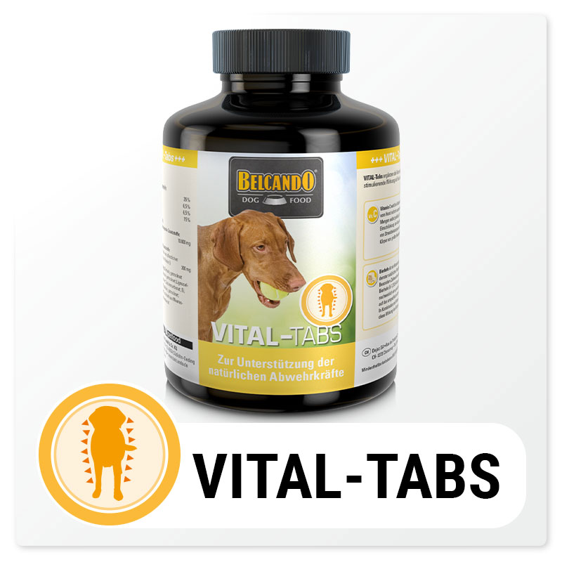 bb-vital-tabs-button-800px