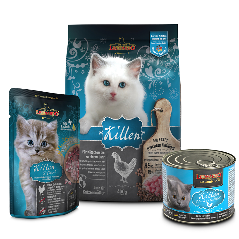Cat Box LEONARDO® Kitten