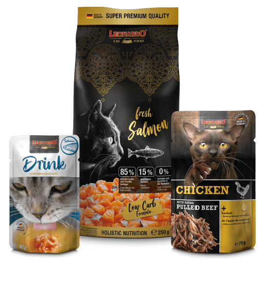 Cat Box LEONARDO® fresh Salmon