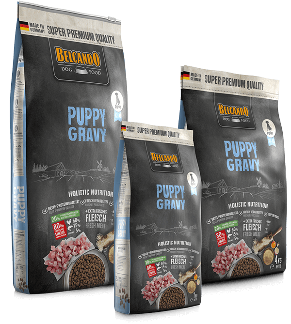 Belcando-Puppy-Gravy-Composing Belcando-Puppy-Gravy-Composing