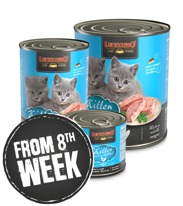 leonardo-kitten-dose-wochenanzeige-gb