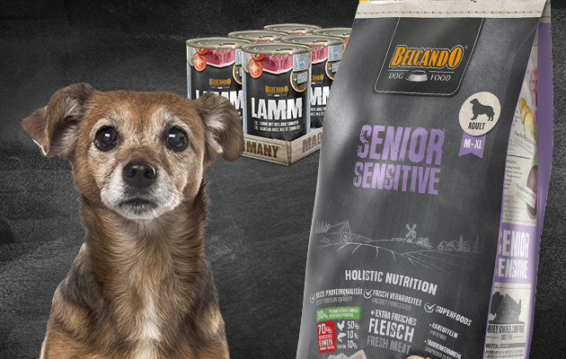 Belcando Trockenfutter für ältere Hunde und der Nassfutterdose Lamm Belcando Trockenfutter für ältere Hunde und der Nassfutterdose Lamm