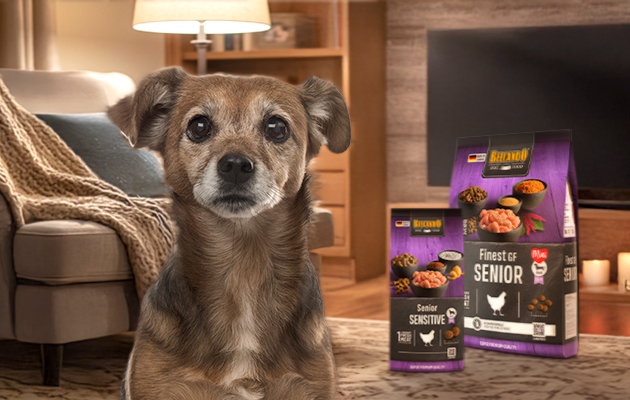 Belcando Trockenfutter für ältere Hunde und der Nassfutterdose Lamm Belcando Trockenfutter für ältere Hunde und der Nassfutterdose Lamm