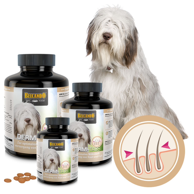 lp-tabs-derm-composing