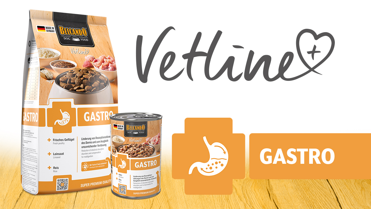 Produktbild der Vetline Sorte Gastro