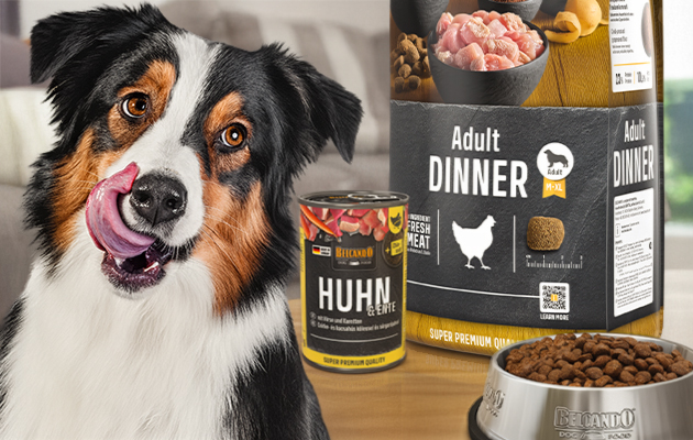 Belcando Trockenfutter für Erwachsenenhund und der Nassfutterdose Huhn & Ente