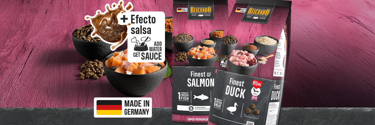 bb-kategorie-mini-desktop-header-es