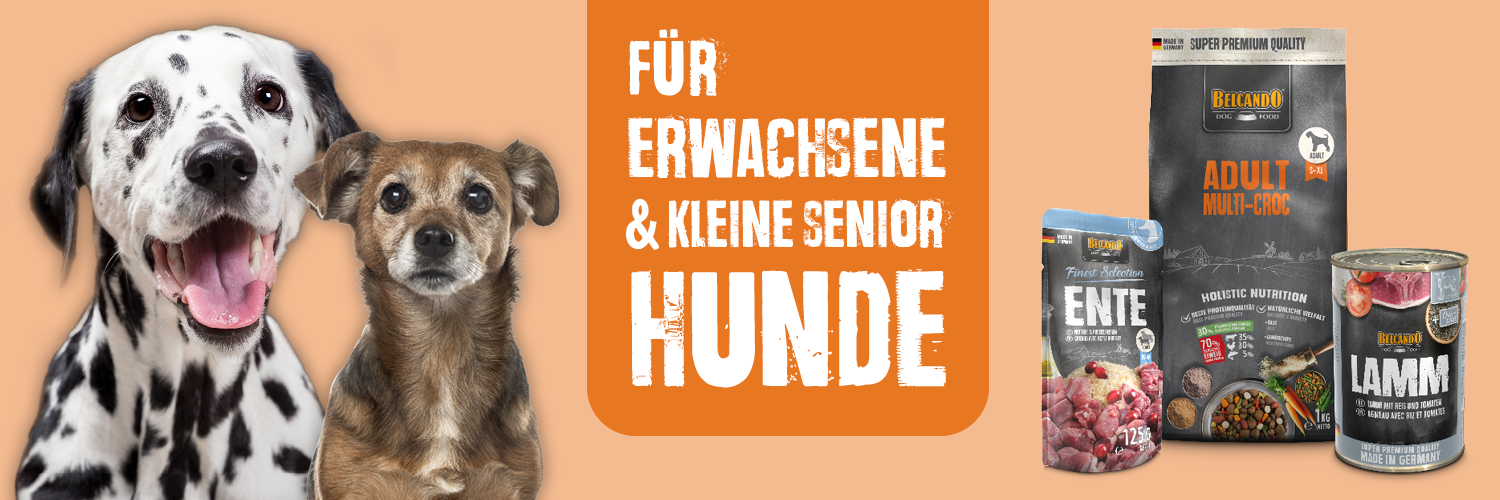 m100356-bb-klp-landingpage-banner-erwachsen-senior