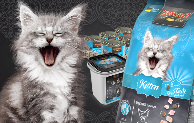 bl-kategorie-kitten-mobile-header