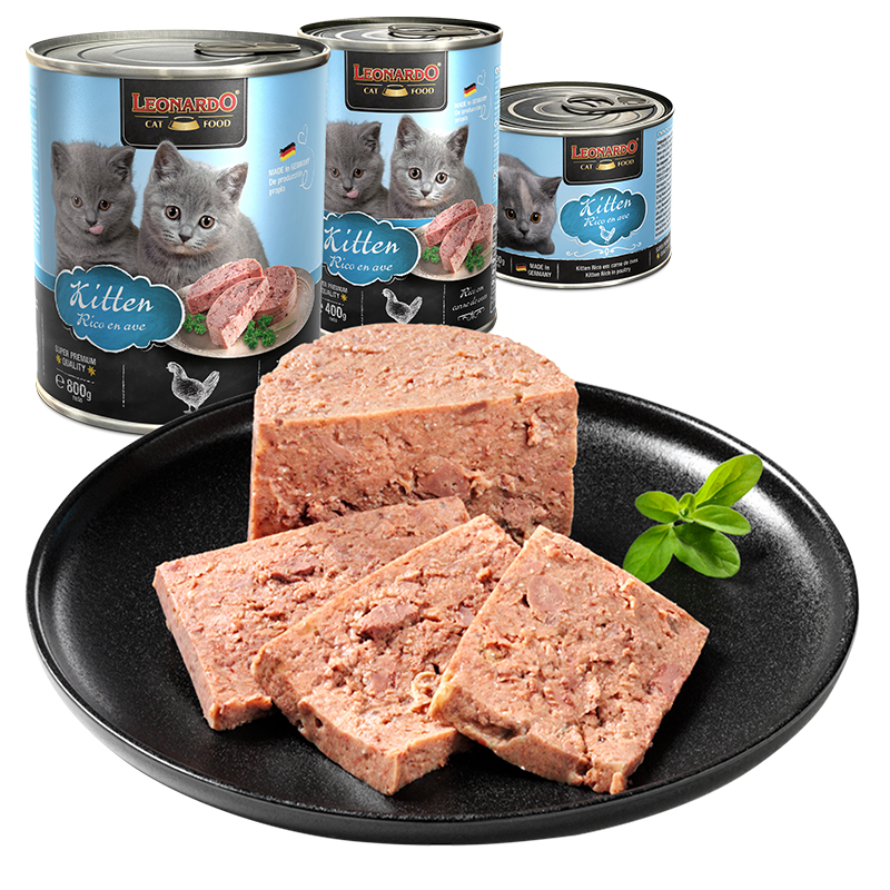 Quality Selection Kitten Quality Selection Kitten