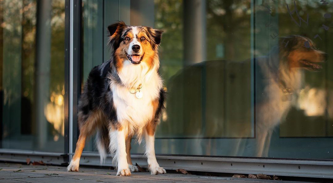 101258999_189607298950380_4528624064209214761_n