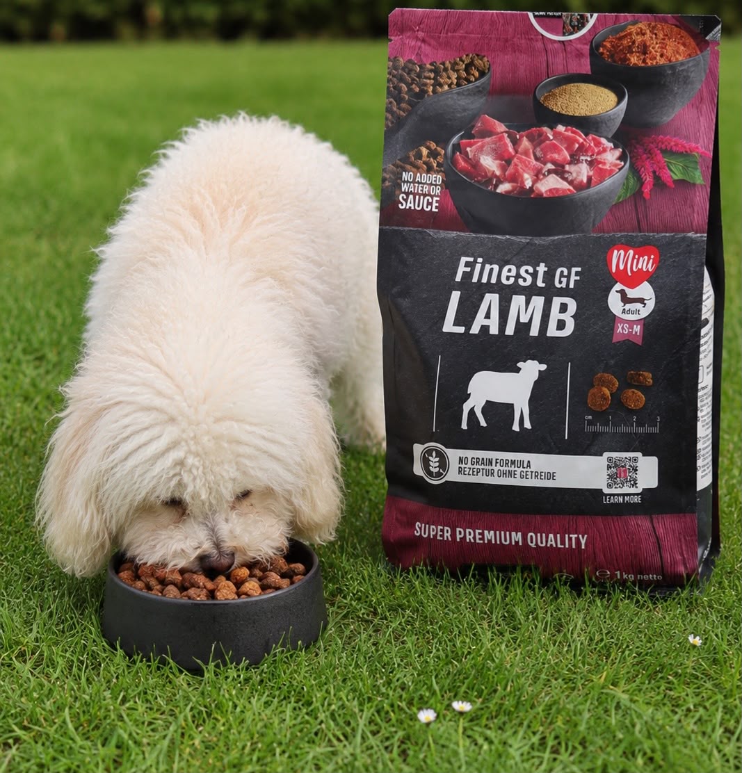 Dog Box BELCANDO Finest GF Lamb Dog Box BELCANDO Finest GF Lamb