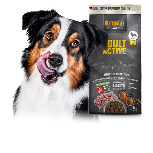Belcando Trockenfutter für Erwachsenehunde Belcando Trockenfutter für Erwachsenehunde