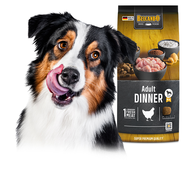 Belcando Trockenfutter für Erwachsenehunde Belcando Trockenfutter für Erwachsenehunde