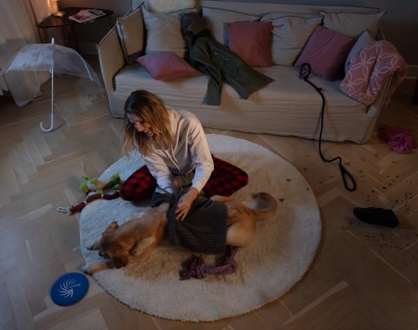 Hundemensch Hundemensch