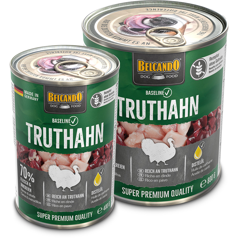 bb-baseline-dose-truthahn-composing-400g-800g-800px