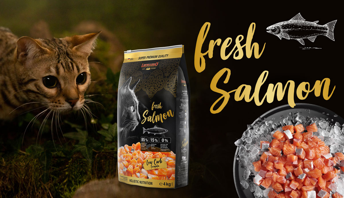 leonardo-sorte-fresh-salmon