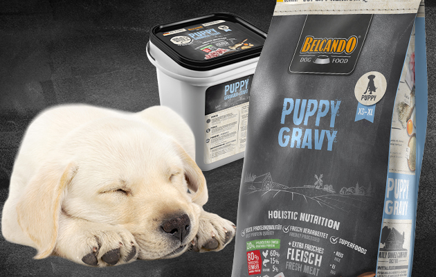 Belcando Trockenfutter für Welpe und dem Milchersatzprodukt Belcando Trockenfutter für Welpe und dem Milchersatzprodukt