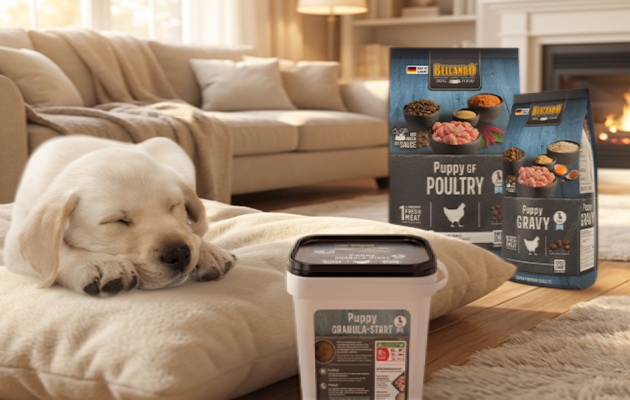 Belcando Trockenfutter für Welpe und dem Milchersatzprodukt Belcando Trockenfutter für Welpe und dem Milchersatzprodukt