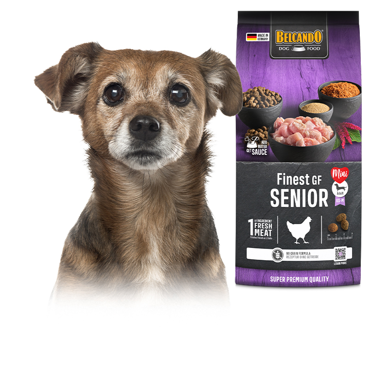 Belcando Trockenfutter für Älterehunde Belcando Trockenfutter für Älterehunde