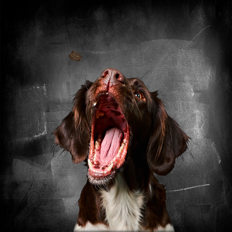 Mastercraft Mastercraft