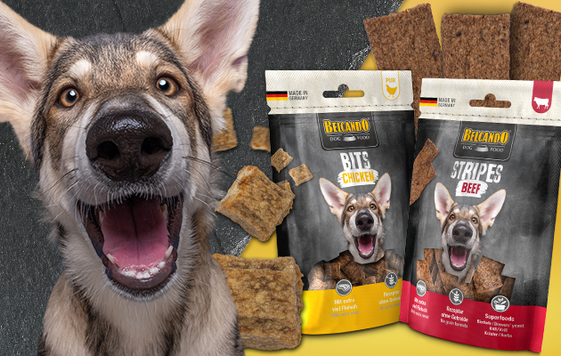 Belcando Stripes und Bits für Hunde als Snack