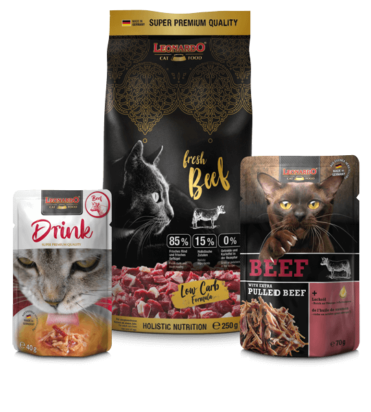 leonardo-fresh-kennenlernbox-beef