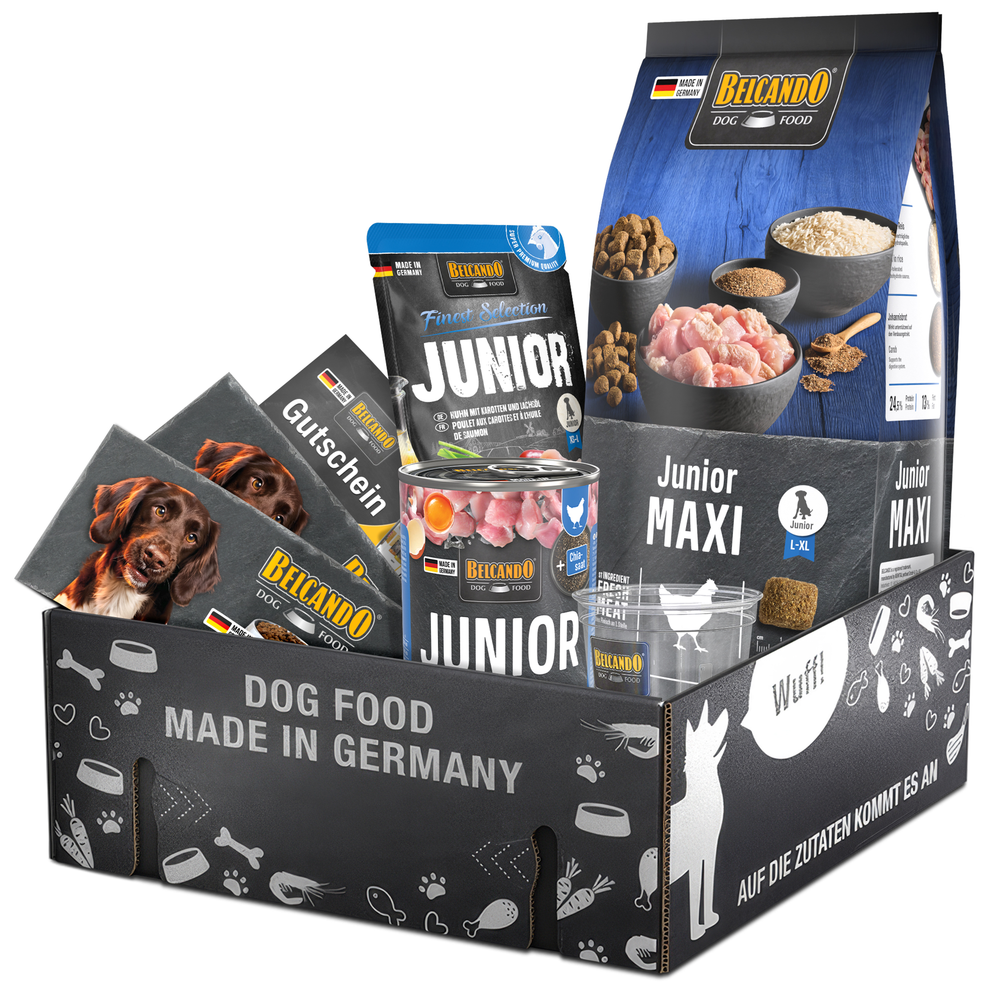 Dog Box BELCANDO Junior Maxi