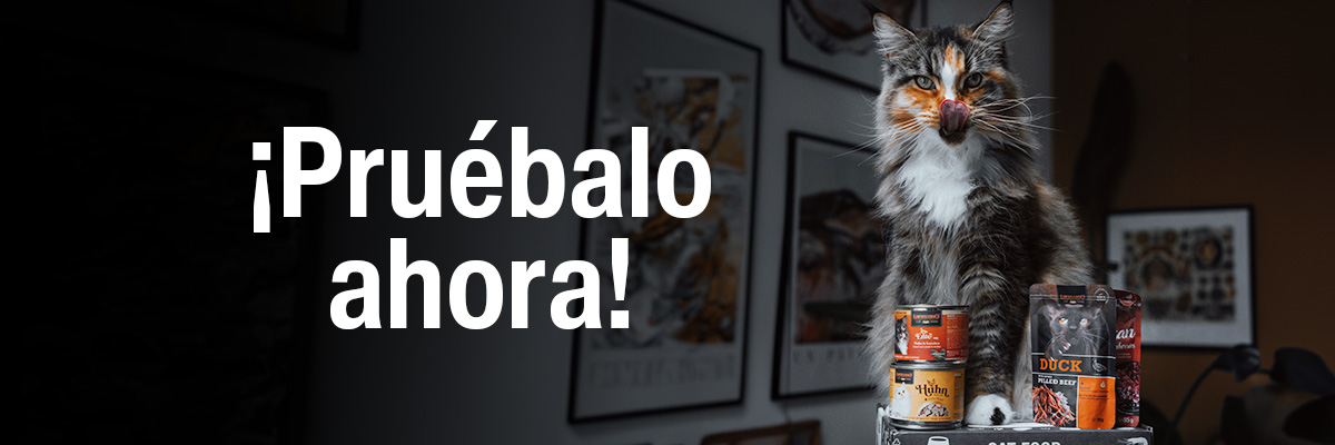 bl-klp-lp-desktop-header-neu