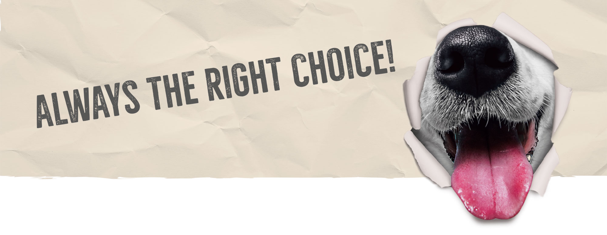 baseline-mailing-header-GB-1920x774